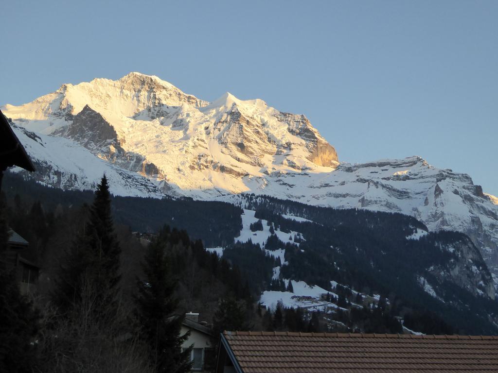 Chalet Gerbera Wengen Habitación foto